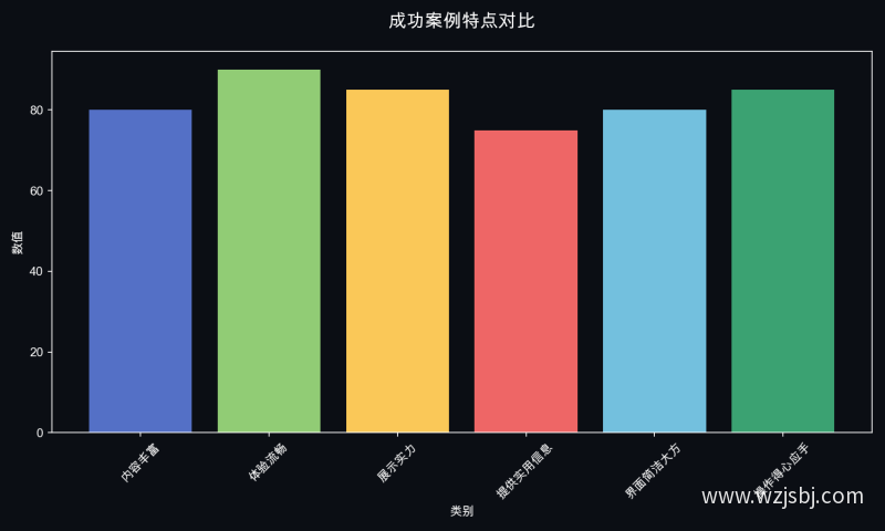 成功案例特点对比