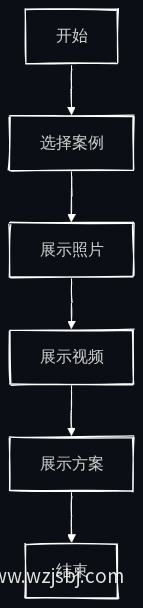 案例展示流程图