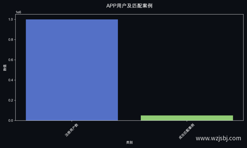 APP用户及匹配案例
